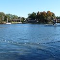 Manatees2010 (8)